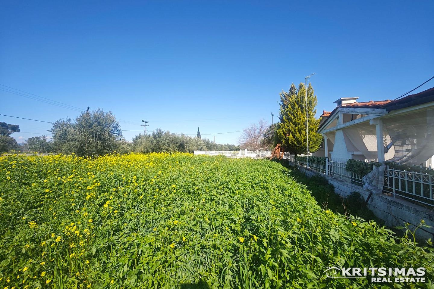 property-img