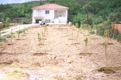 ΠΩΛΕΙΤΑΙ ΜΟΝΟΚΑΤΟΙΚΙΑ 75 Μ2 ΣΤΟ ΕΥΠΑΛΙΟ ΦΩΚΙΔΑΣ